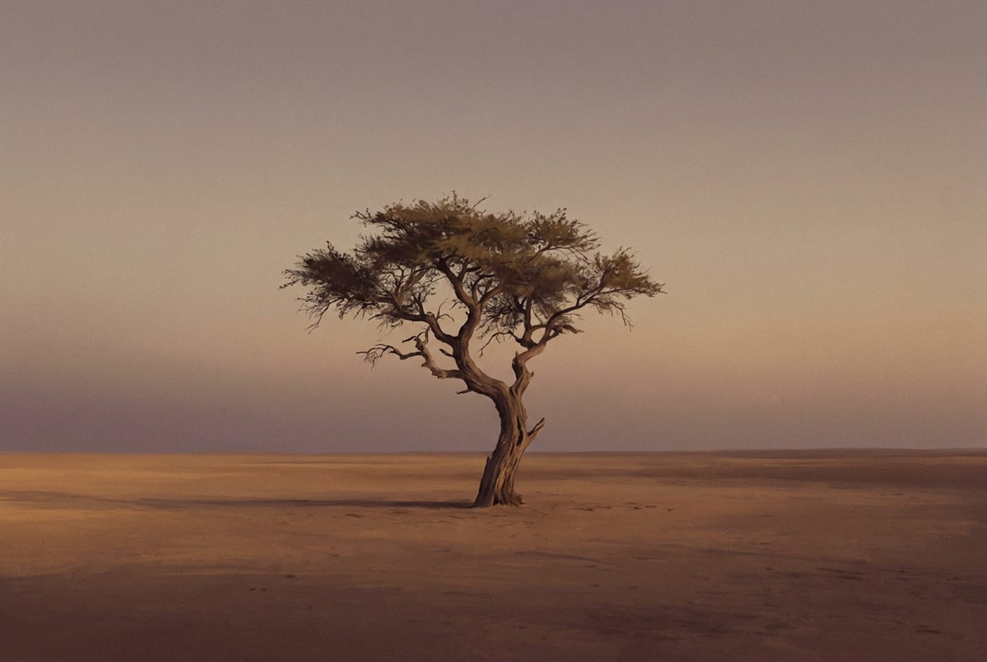 Illustration of a lone acacia tree on an empty plain at dusk